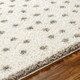 Livabliss Birmingham BMM-2302 Rug