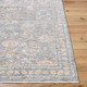 Livabliss Chapel Hill CHP-2302 Rug