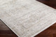 Livabliss Edmonton EDO-2303 Rug