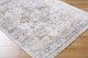 Livabliss Edmonton EDO-2306 Rug
