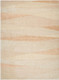 Livabliss Forum FM-7240 Rug