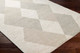 Livabliss Gavic GVC-2317 Rug
