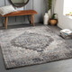 Livabliss Montana MTN-2307 Rug