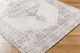 Livabliss Olympic PNWOL-2300 Rug