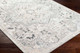 Livabliss Perception PCP-2317 Rug