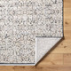 Livabliss Rivaldo RVD-2300 Rug