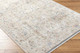 Livabliss Rivaldo RVD-2309 Rug