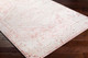 Livabliss St Tropez SRZ-2315 Rug