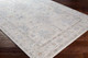 LivaBliss Virginia VGN-2300 Rug