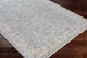 Livabliss Virginia VGN-2303 Rug