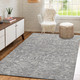 Dalyn Aberdeen AB1 Flannel Rug
