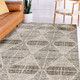 Dalyn Carmona CO8 Driftwood Rug