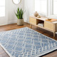 Surya Daffodil DFF-2302 Rug