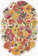 Surya Shindig SDG-2302 Rug