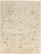 Surya Shiraz SHZ-2300 Rug