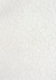 Dynamic Aria 8551-100 Ivory Rug