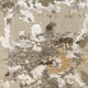 Dynamic Renaissance 3151-190 Ivory Grey Rug