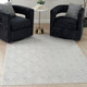 Nourison Home Care Free CAF03 Light Grey Rug