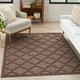 Nourison Home Easy Care NES01 Brown Rug