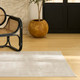 Nourison Home Nordic NRC11 Taupe Rug