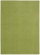 Nourison Home Nourison Essentials NRE01 Green Rug
