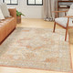 Nourison Home Nourison Essentials Persian NRE07 Beige Rust Rug