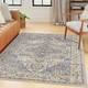 Nourison Home Nourison Essentials Persian NRE07 Blue Rug