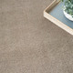 Nourison Home Plush Cloud PLC01 Taupe Rug