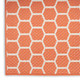 Nourison Home Twist Reversible TWS01 Coral Rug