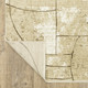 Oriental Weavers Reed re10a Rug