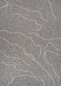 Couristan Charm 2557 2091 Odessa Twig Rug