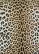 Couristan Dolce 5750 0003 Amur Leopard New Gold Rug