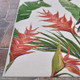 Couristan Dolce 7502 0002 Toucans Ivory Rug