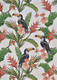 Couristan Dolce 7502 0002 Toucans Ivory Rug
