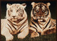 United Weavers Legends 910 1650 Tiger Colors Multi Rug