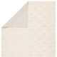 Jaipur Living Composure CMP05 Pembrooke Rug