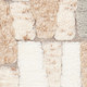 Chandra Arya ARY-57901 Rug