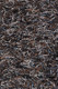 Chandra Astrid AST-14303 Rug