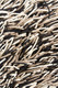 Chandra Cyrah CYR-10802 Rug