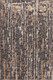 Chandra Petra PET-57600 Rug