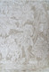 Dynamic Canyon 15474 880 Beige Light Beige Rug