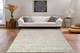 Dynamic Mesa 9748 480 Mint Green Taupe Rug
