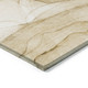 Addison Chantille ACN507 Beige Rug