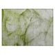 Addison Chantille ACN508 Olive Rug