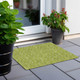Addison Chantille ACN514 Aloe Rug