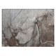 Addison Chantille ACN524 Taupe Rug