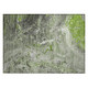 Addison Chantille ACN588 Aloe Rug