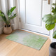 Addison Chantille ACN642 Aloe Rug