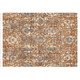 Addison Chantille ACN868 Paprika Rug