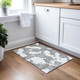 Addison Chantille ACN975 Gray Rug